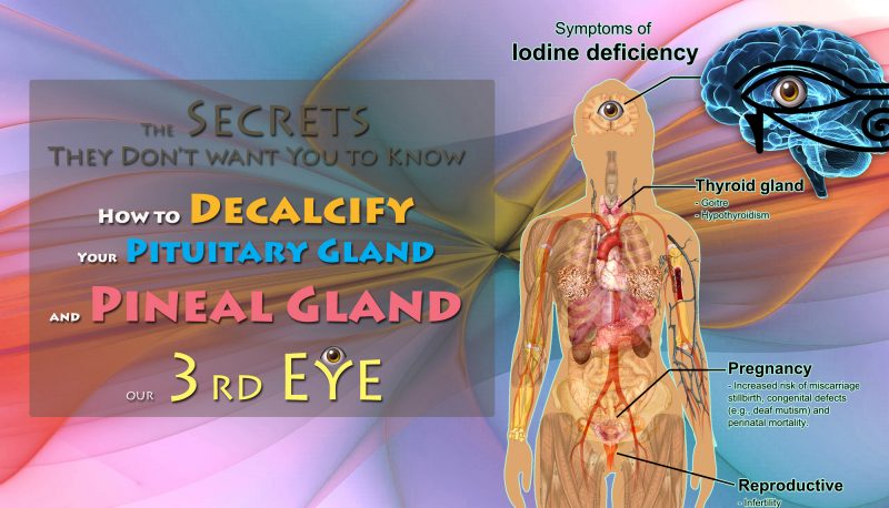 The Secrets They Don’t want You to Know – How to Decalcify Your Pituitary Gland and Pineal Gland, our 3rd Eye
